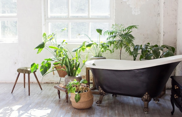 Интерьер ванной комнаты с большими окнами, черной ванной и растениями в цветочных горшках