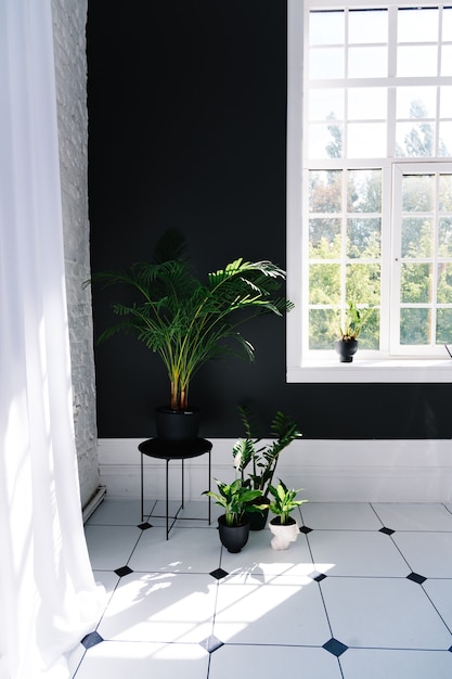 Интерьер ванной комнаты с комнатными растениями
