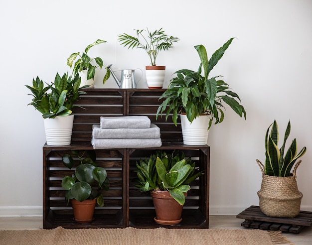 Bathroom set in the wooden shelf