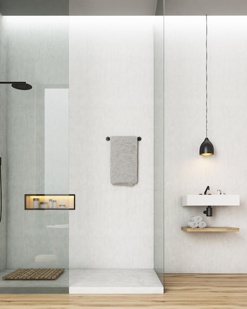 Bathroom and toilet interior with white walls