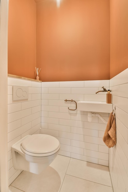 A bathroom with a toilet and a sink