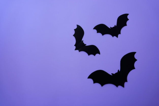 Bats and mockups on a purple background