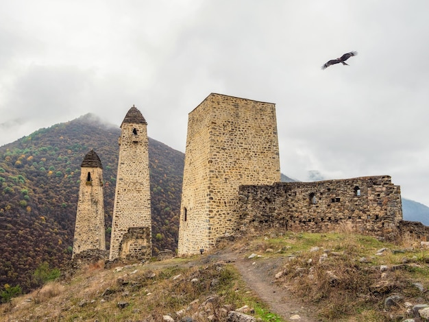 Боевые башни Эрзи в ущелье Джейра Средневековый башенный комплекс Е