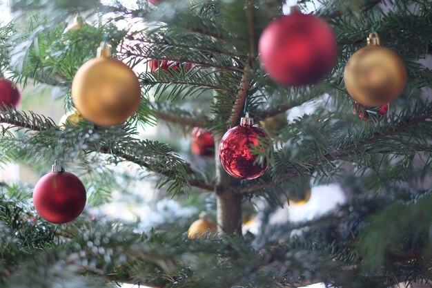 Baubles hanging on christmas tree