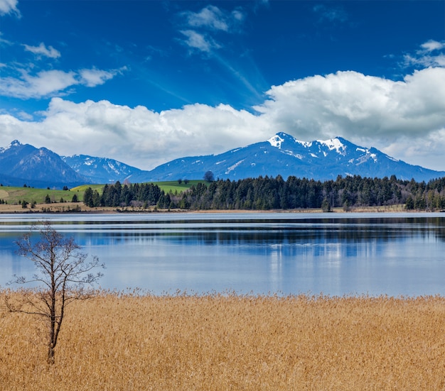 Bavarian Alps countryside landscape