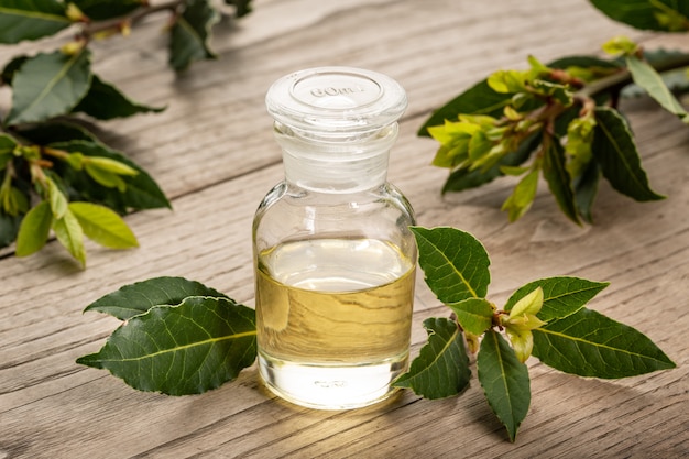 Bay essential oil isolated on glass bottle