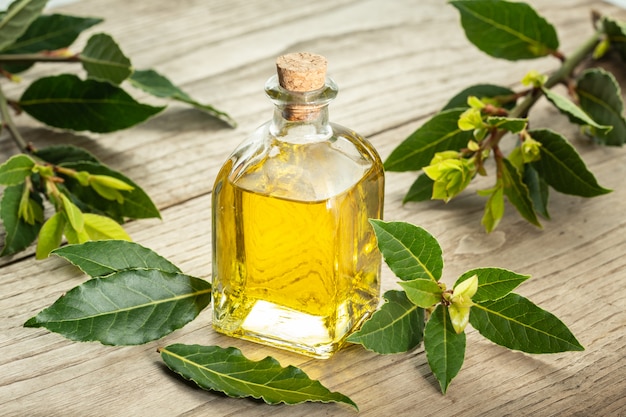 Bay essential oil isolated on glass bottle