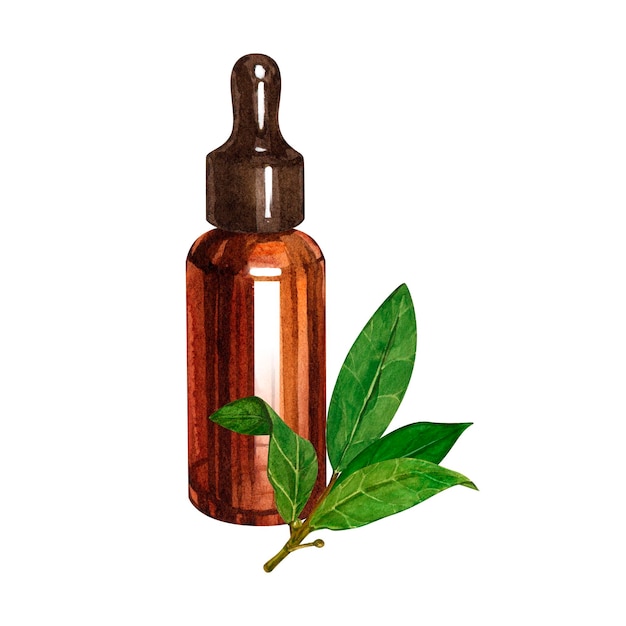 Bay etherische olie bay olie bay essence laurierblaadjes amberkleurige glazen fles druppelaar