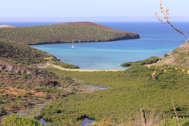 A bay in La Paz, Mexico, with a marsh in the foreground