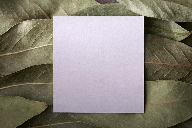 Photo bay leaf with mockup card