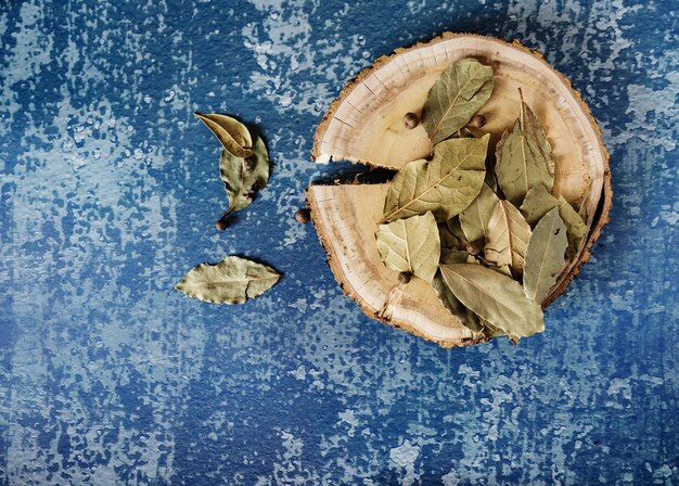 Photo bay leaf