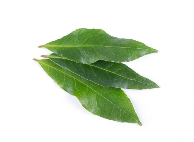 胡萝卜的叶子与白色的叶子分离