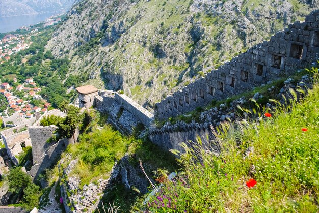 Bay View from the fortress in Kotor