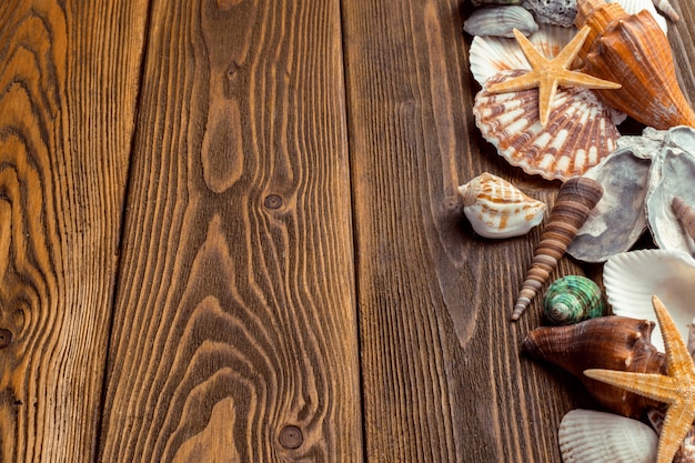 Beach accessories on wooden board