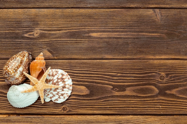 Beach accessories on wooden board