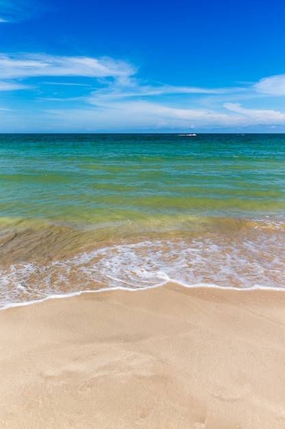 写真 ビーチと熱帯の海