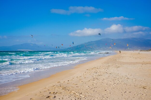 The beach of the atlantic ocean and the kitesurfers photo for advertising catalogs postcards stickers