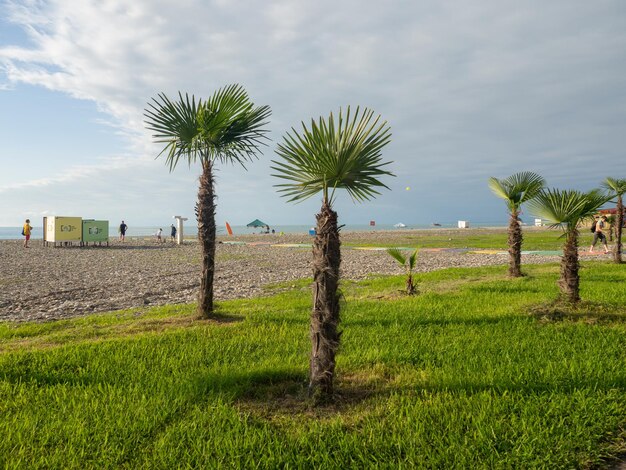 Beach atmosphere resort life coastline of the black sea beautiful places regular resort