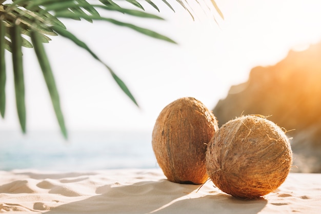 Beach background with coconuts