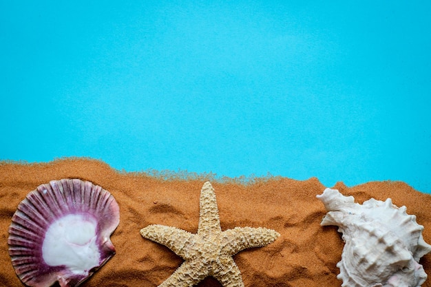 Beach background with sand, star and shells