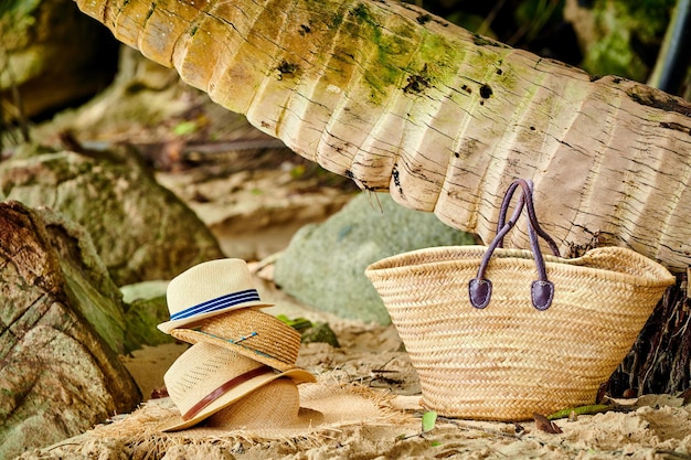 Beach bag and hats by palm tree