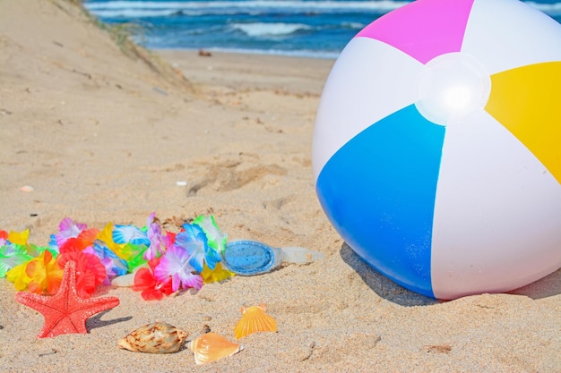 Beach ball shells and goggles at the beach