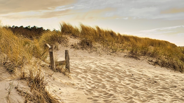 On the beach of the Baltic Sea a beach crossing over the dunes Walking on the beach