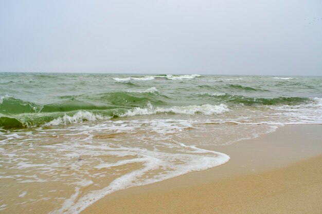 Beach Baltic Sea coast with quartz sand and rolling waves