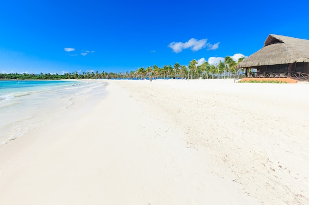 Beach and beautiful tropical sea