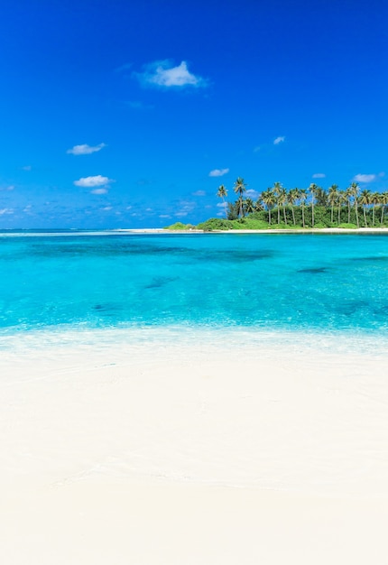 Beach and beautiful tropical sea