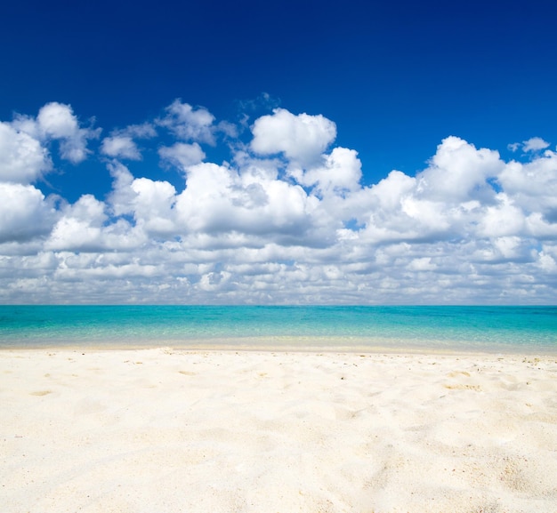 Beach and beautiful tropical sea