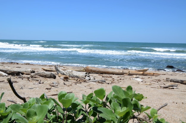 Beach and blue sea by seaside