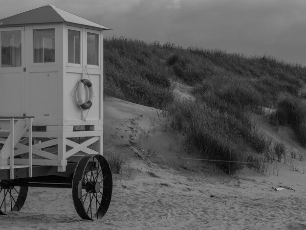 Photo beach of borkum