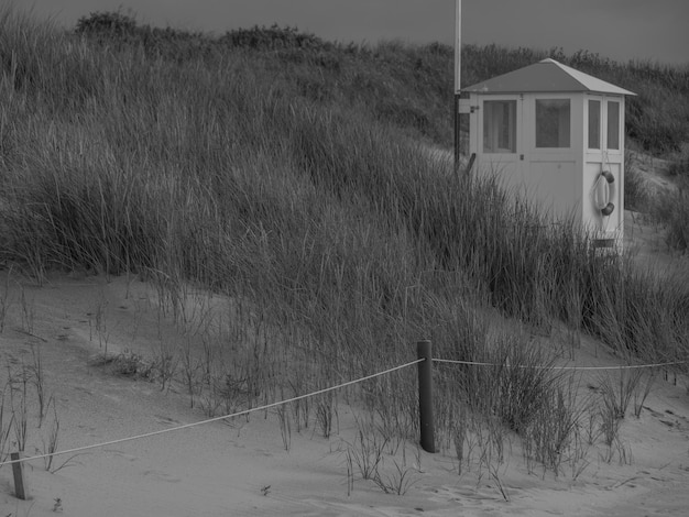 beach of Borkum