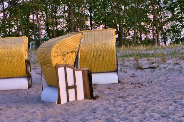 Пляжный стул на пляже в Зингсте на Балтийском море Деревья на заднем плане Пейзаж на побережье.