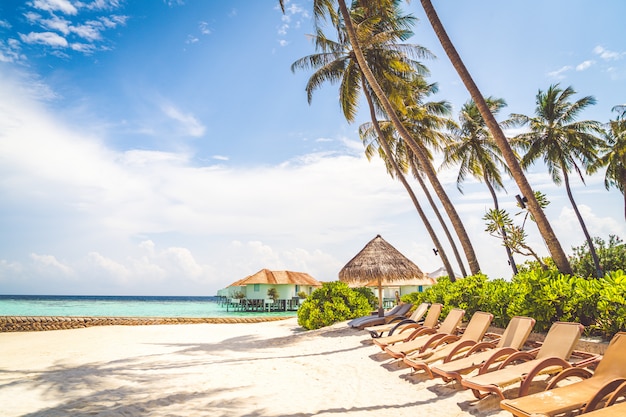 beach chair with tropical Maldives island  beach and sea