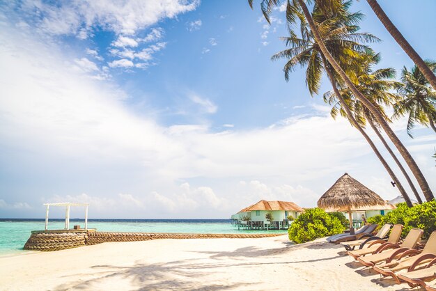 beach chair with tropical Maldives island  beach and sea