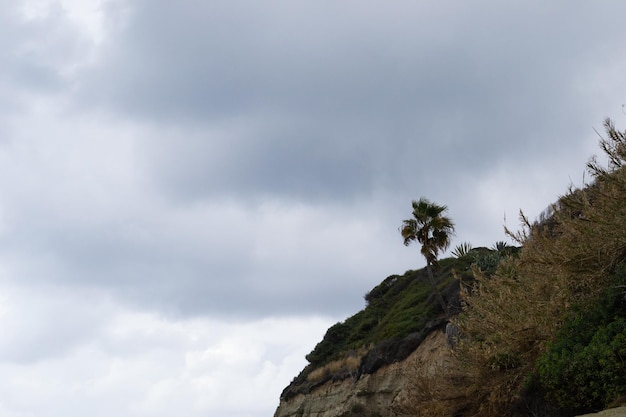 Beach cliffs palm tree cloudy sky