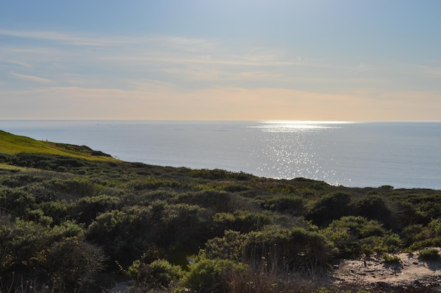 Beach cliffs