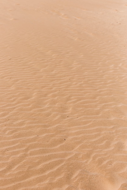 Foto concetto di spiaggia