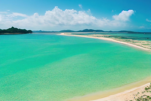 The beach in the distance is a white sand beach with a blue sky and the ocean in the background.