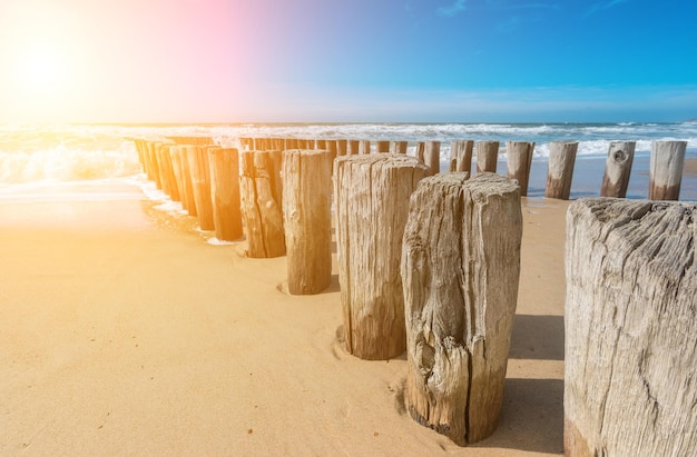 beach in Domburg, Zeeland, renesse Holland