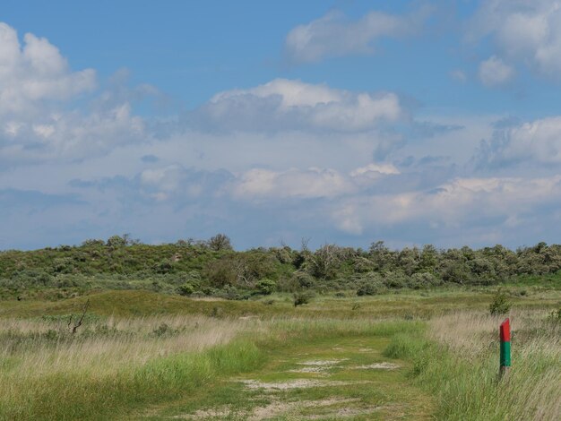 Beach and dunes on baltrum island