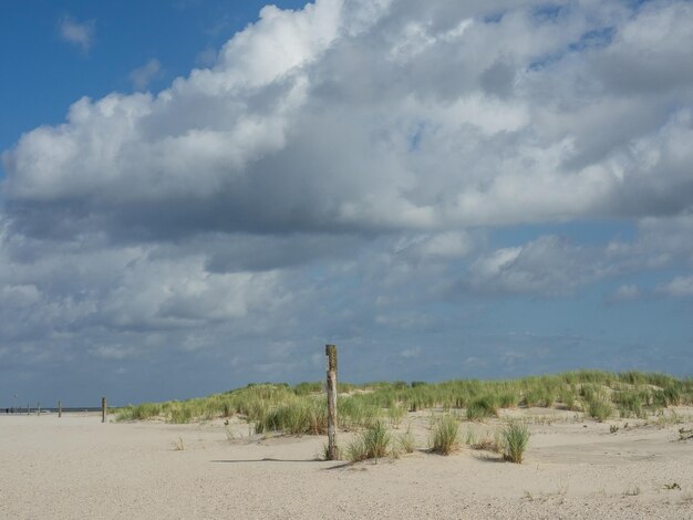 Photo beach and dunes of spiekeroog