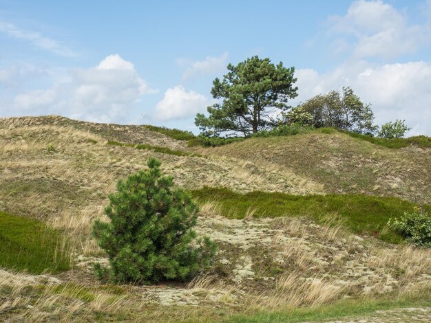 Photo beach and dunes of spiekeroog