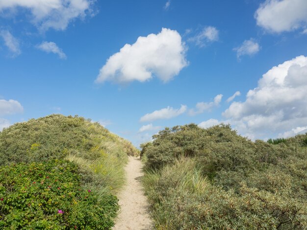 Photo beach and dunes of spiekeroog