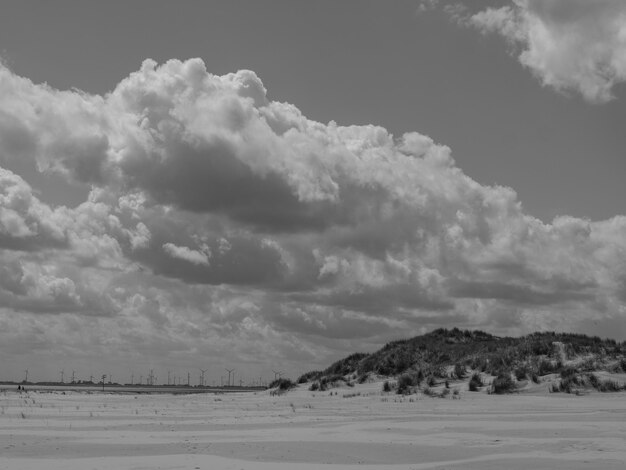 beach and dunes