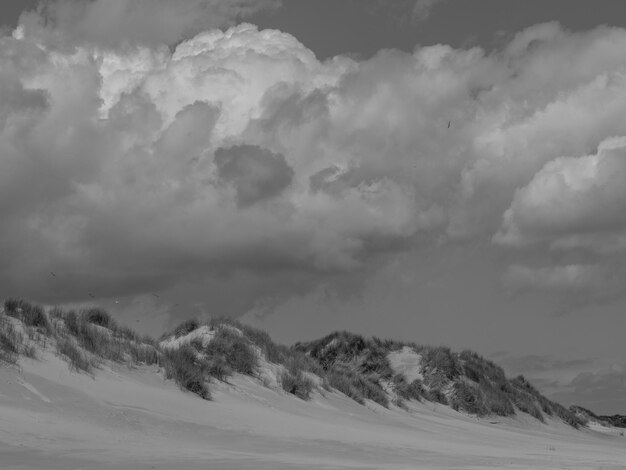 beach and dunes