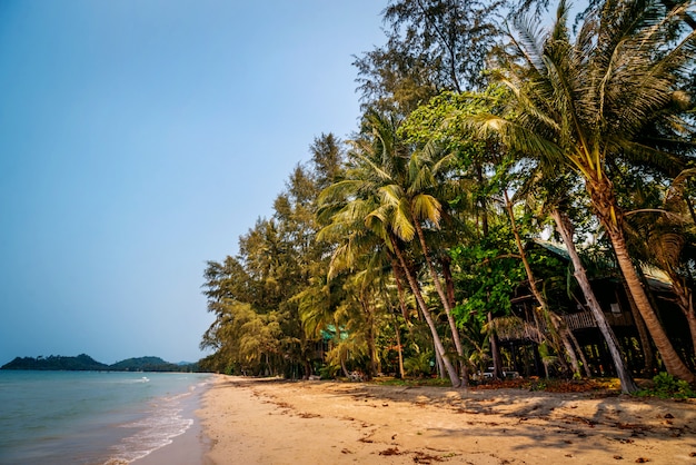 The beach on an exotic island..