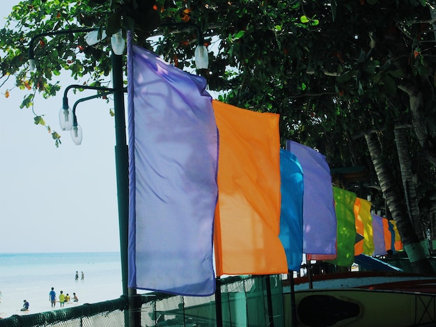 Photo beach flags